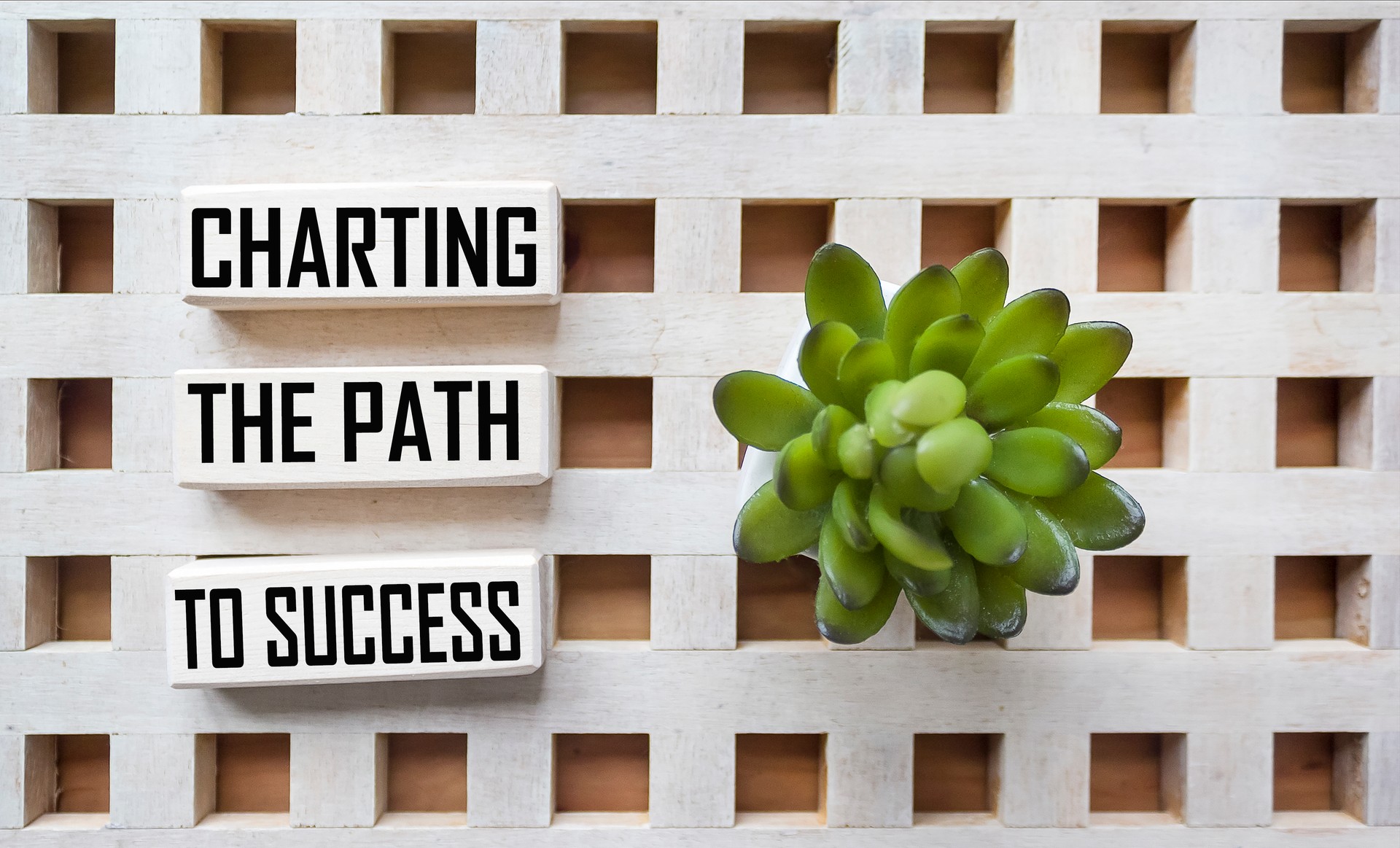 Outlining the path to success, message on wooden blocks and vintage background with flower on vintage background